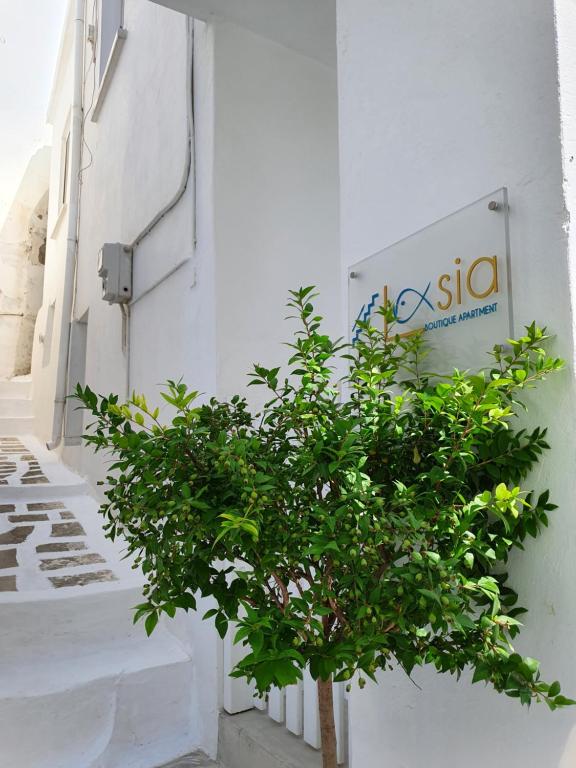 Kép Lasia Boutique Apartment szállásáról Ándroszban a galériában