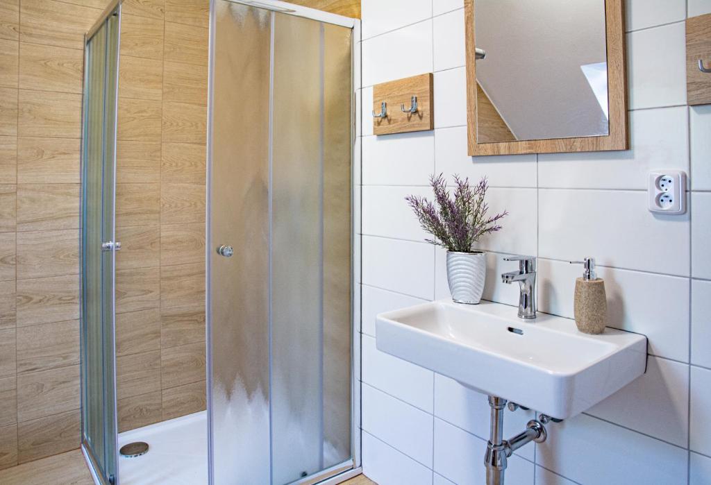 Łazienka w obiekcie Apartmány Kurojedy