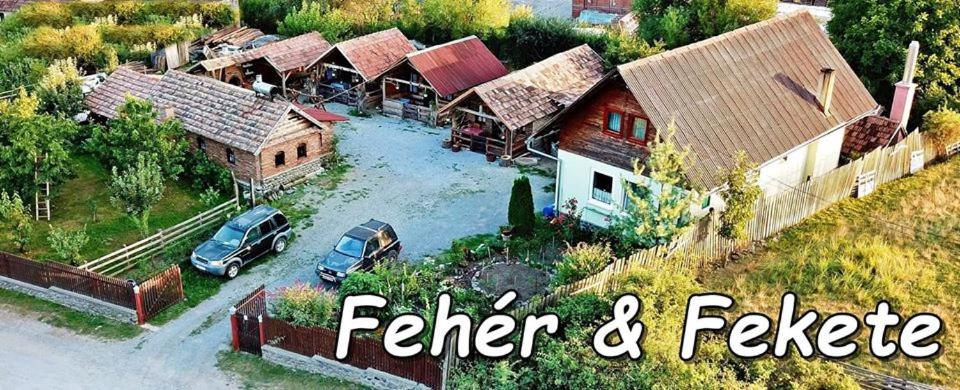 - une vue aérienne sur une maison avec une rivière dans l'établissement Casa Rustic Fehér & Fekete Vendégházak, à Sovata