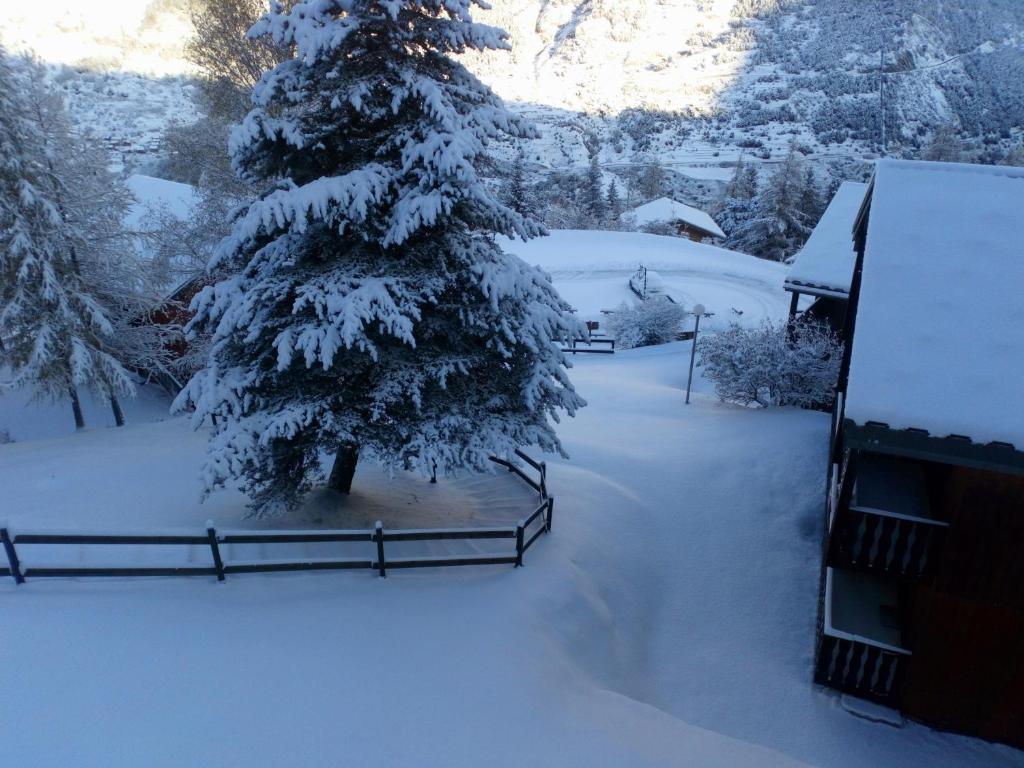 drzewo pokryte śniegiem na podwórku z płotem w obiekcie appartement en chalet au pied des pistes w mieście La Norma