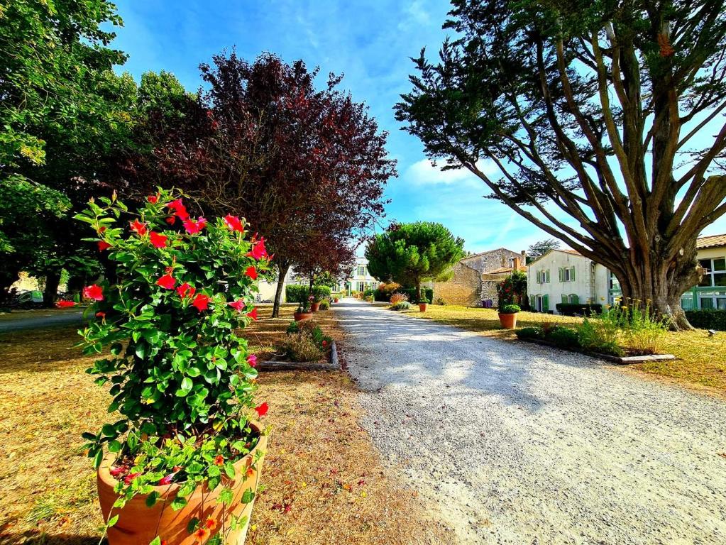 Appartement 91 Palais Des Gouverneurs Saint Martin De Re Aktualisierte Preise Fur 2021 Appartement 91 Palais Des Gouverneurs Saint Martin De Re Aktualisierte Preise Fur 2021