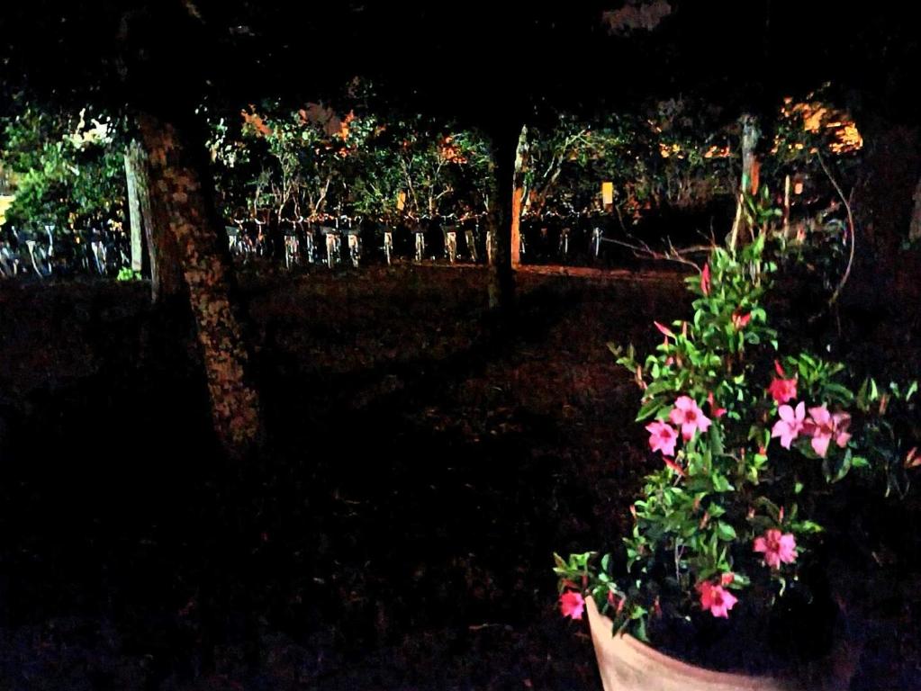 Appartement 91 Palais Des Gouverneurs Saint Martin De Re Aktualisierte Preise Fur 2021 Appartement 91 Palais Des Gouverneurs Saint Martin De Re Aktualisierte Preise Fur 2021