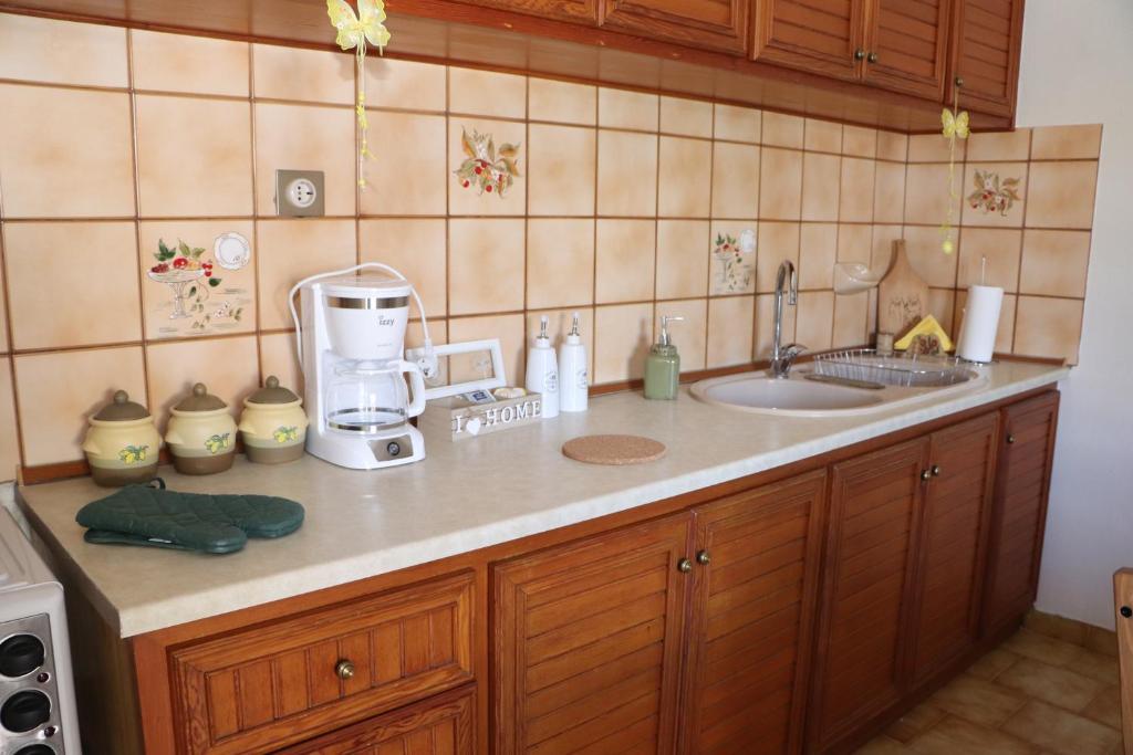 blat kuchenny z mikserem i zlewem w obiekcie Meteoron Guesthouse w Kalambace