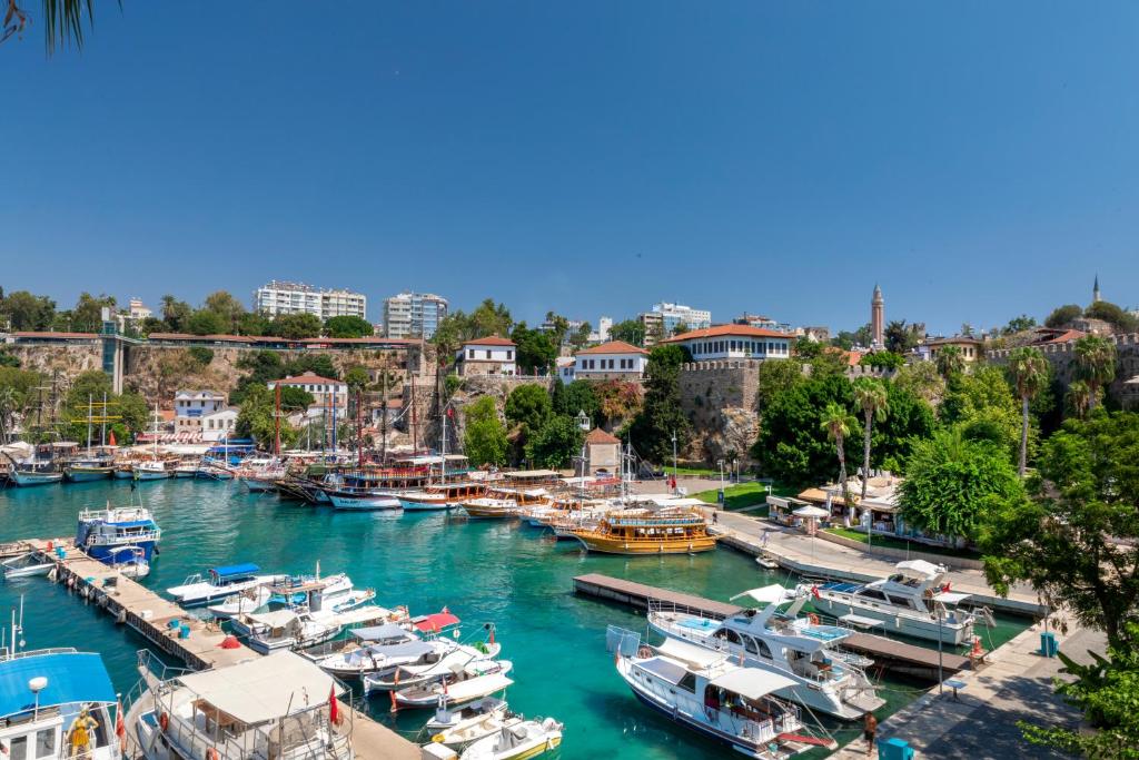 a group of boats docked in a harbor at Adalya Port Hotel in Antalya