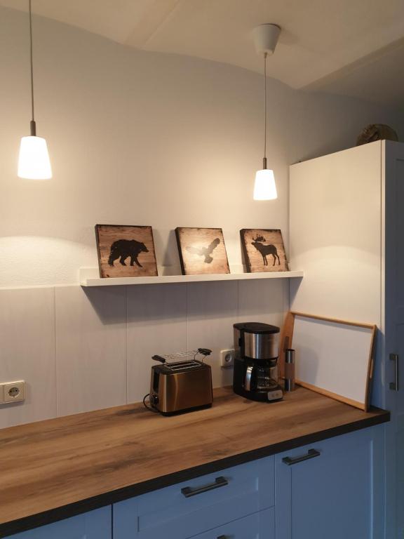 uma cozinha com um balcão com uma torradeira e algumas luzes em Ferienhof Mochowsee em Schwielochsee