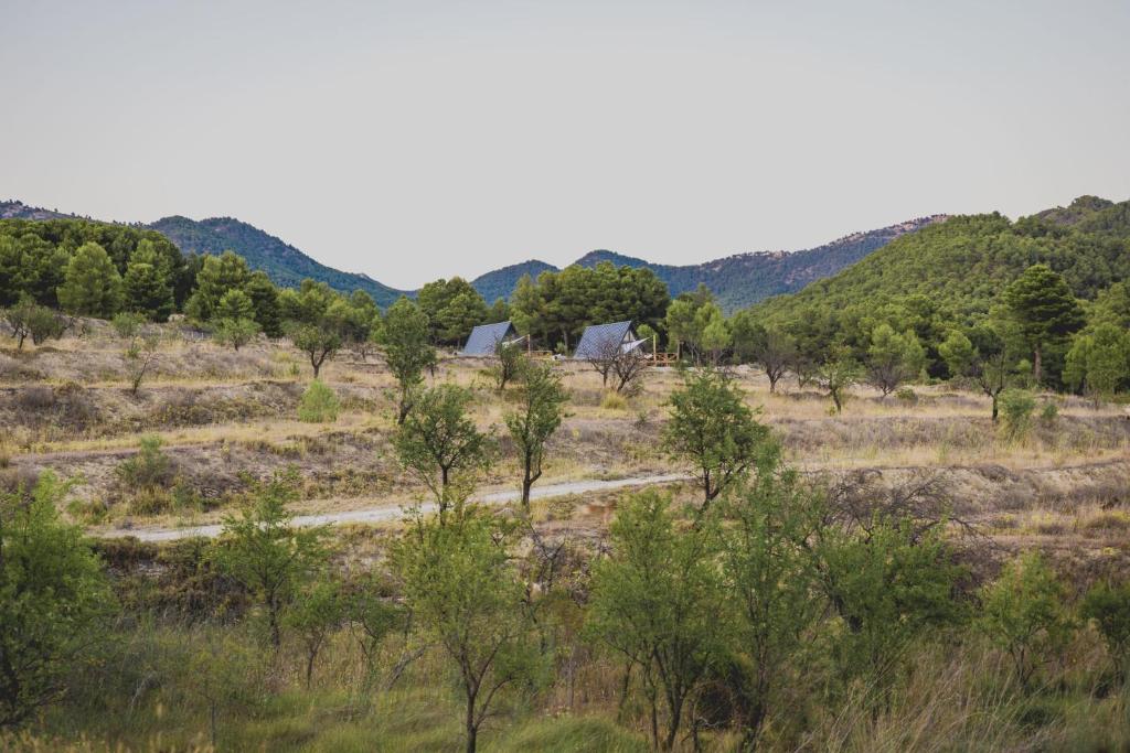 Finca Les Coves