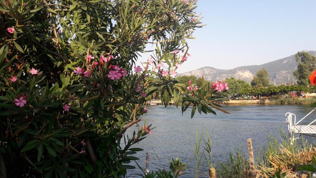 Fotografie z fotogalerie ubytování Caunos bungalow v destinaci Mugla
