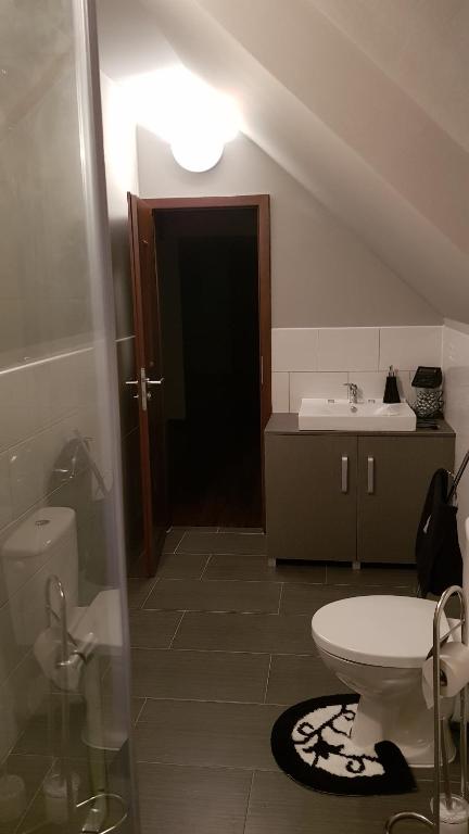 Koupelna v ubytování Guest house Jana