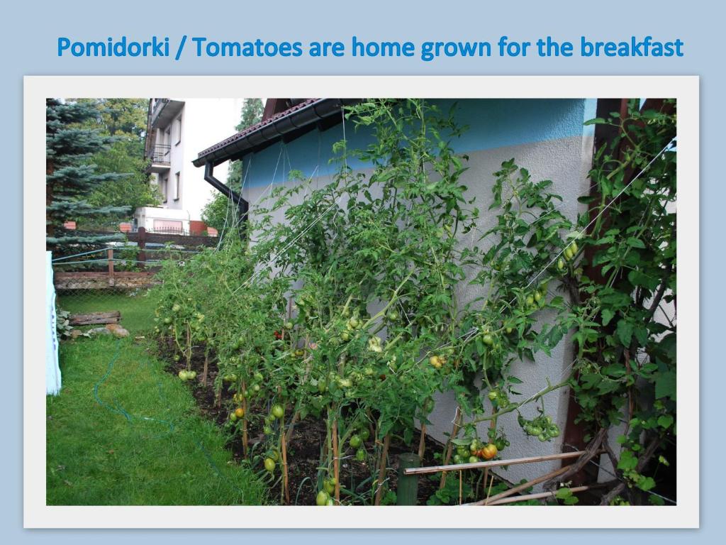 Skrawek Nieba Pokoje Gościnne - 18