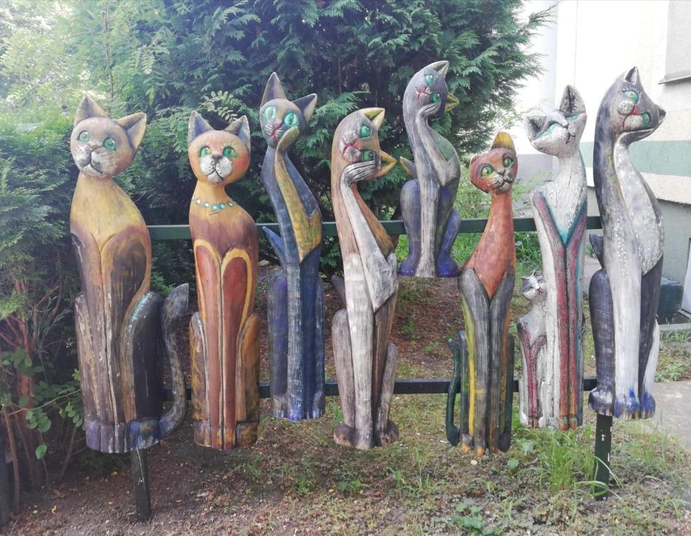 Akacja Pokoje Gościnne - 14