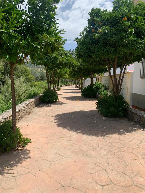 Vonkajšia záhrada v ubytovaní Apartamento en Cuevas del Becerro
