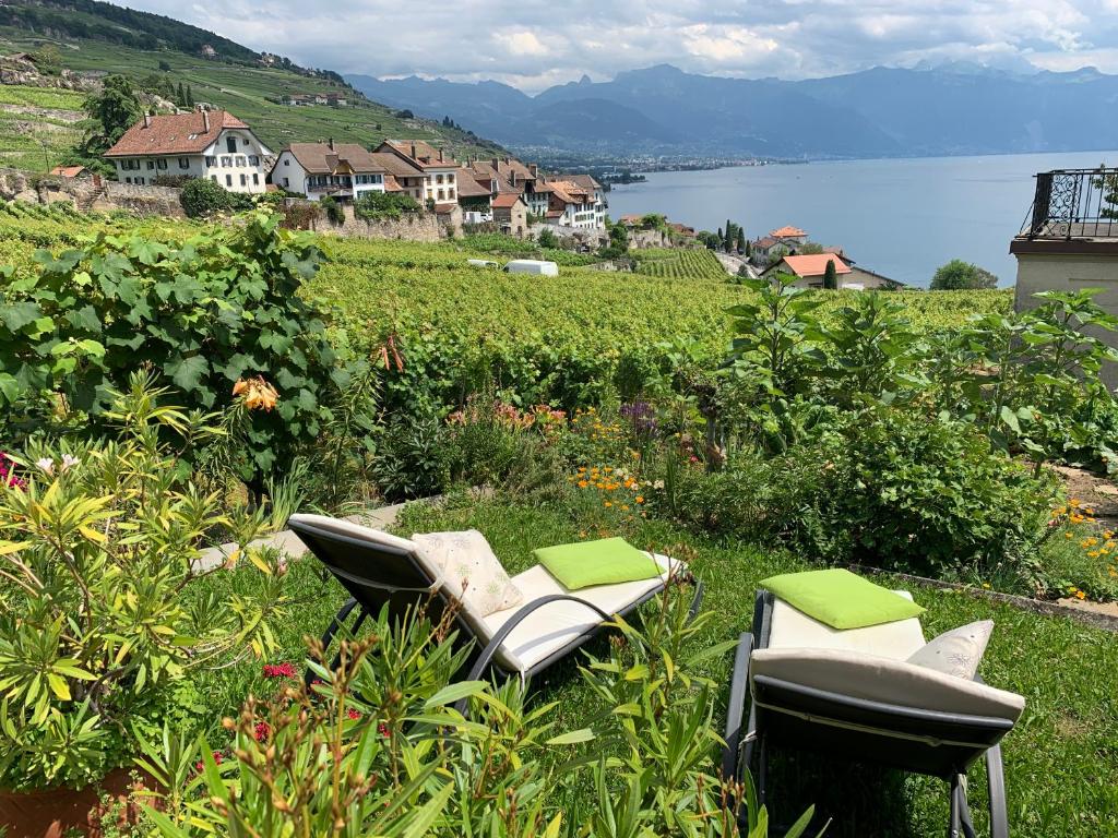 Paesaggio naturale nelle vicinanze della stanza in casa privata