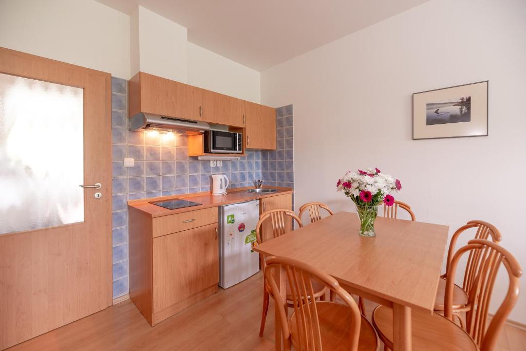 Kuchyň nebo kuchyňský kout v ubytování Apartmány Engadin