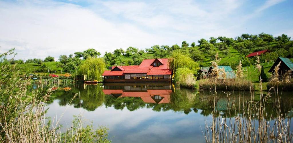 una casa con techo rojo sentada en la cima de un lago en Pensiunea Hubertus en Bistriţa