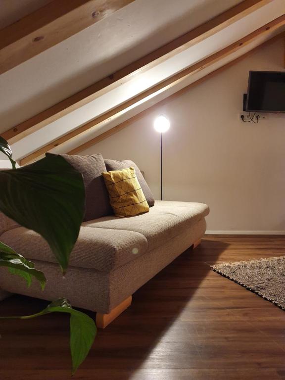 TV a/nebo společenská místnost v ubytování Ferienwohnung Leuner