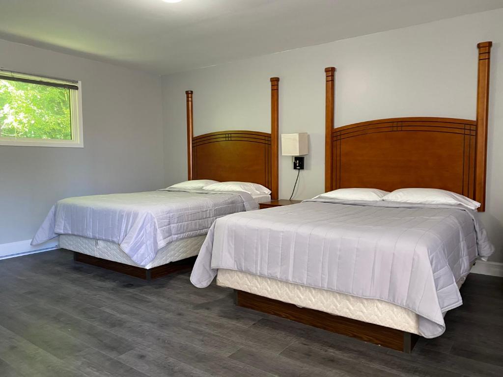 two beds in a white room with two bedsvisor at Studio 1 Motel in Cobourg