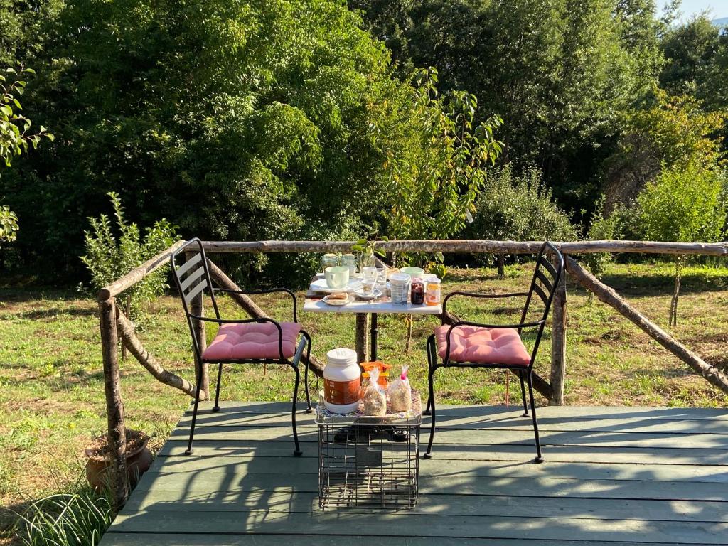 Zahrada ubytování Casa nel verde