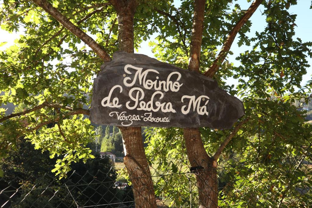 Un cartello che dice nella mica su un albero di Moinho de Pedra Má a Arouca