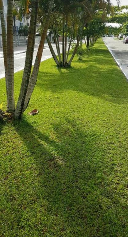  Apto 34 Wilson Abirached