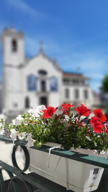 um plantador com flores vermelhas e brancas em frente a uma casa em Feel Aveiro - Church View em Aveiro