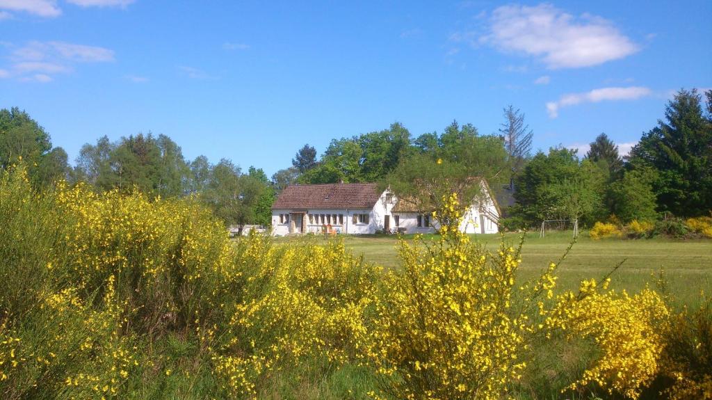 a house in the middle of a field with yellow flowers at Maison de 7 chambres a Eyrein avec jardin amenage et WiFi in Eyrein