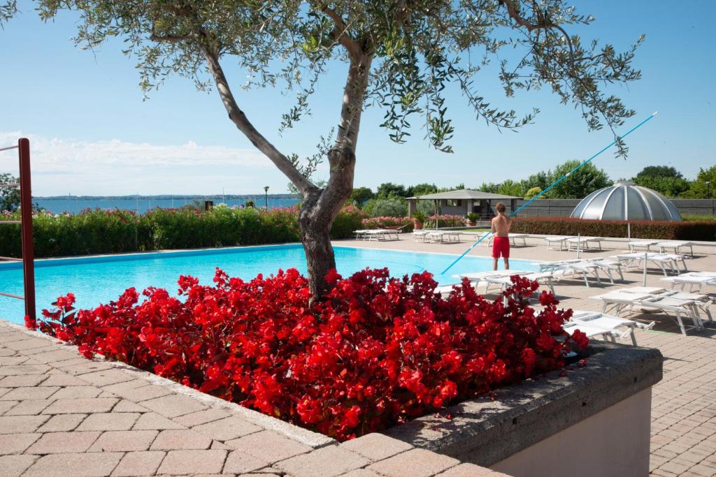 The swimming pool at or close to Relax al Porto - 180 degrees of exciting Garda lake views
