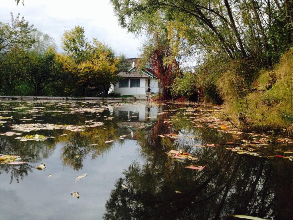 a house in the middle of a pond with lilies at Fisherman's Cottage in Cacica