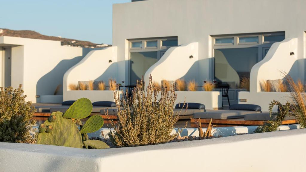 Fotografie z fotogalerie ubytování Volcanic Arc Suites v destinaci Oia