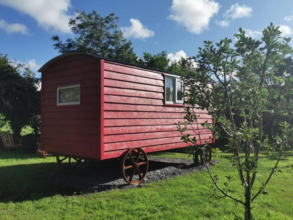 Zahrada ubytování Ballyroe Accommodation