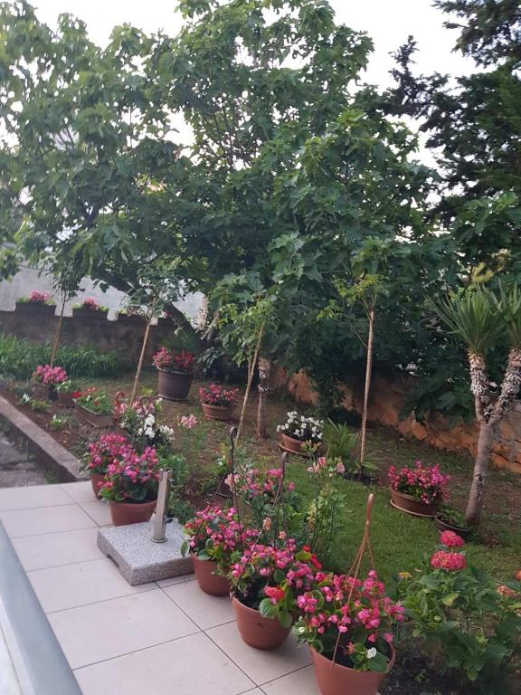 Vonkajšia záhrada v ubytovaní Apartman Andja sea and garden view