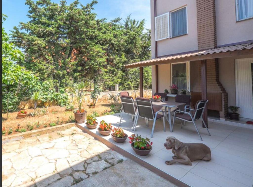 Vonkajšia záhrada v ubytovaní Apartman Andja sea and garden view