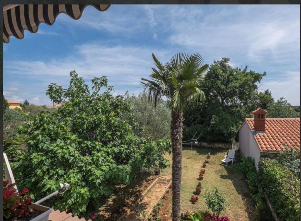 Vonkajšia záhrada v ubytovaní Apartman Andja sea and garden view
