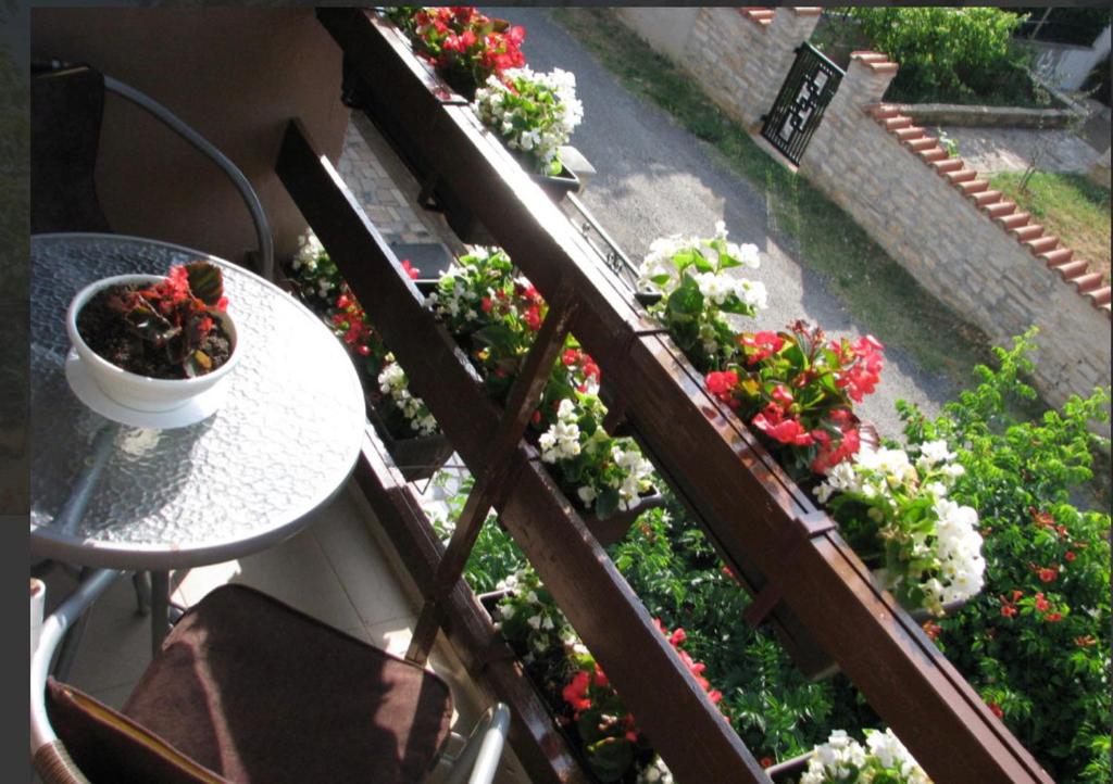 Vonkajšia záhrada v ubytovaní Apartman Andja sea and garden view