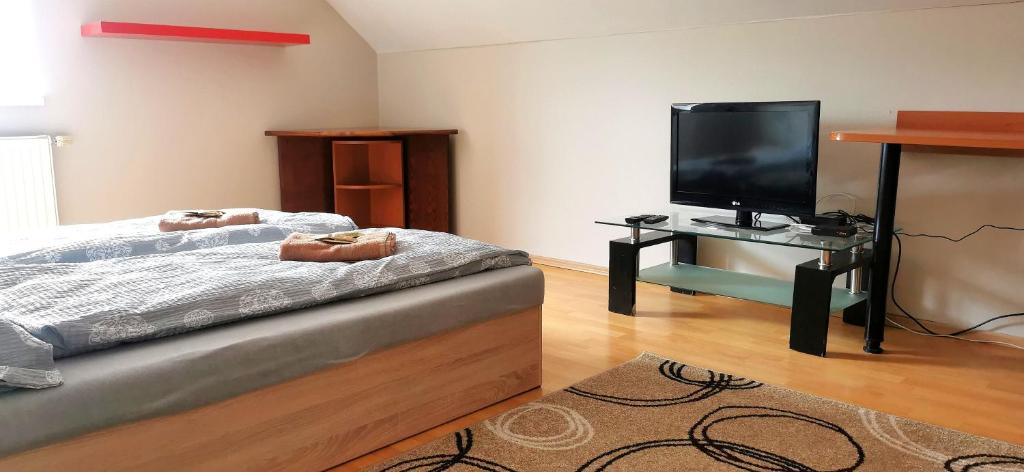 TV a/nebo společenská místnost v ubytování Penzion Kolovna