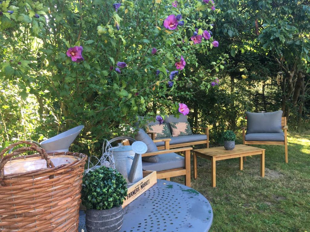 Frévin-CapelleにあるLA GRENOUILLERE gîte 3 chambresの椅子とテーブル、花の茂る庭園
