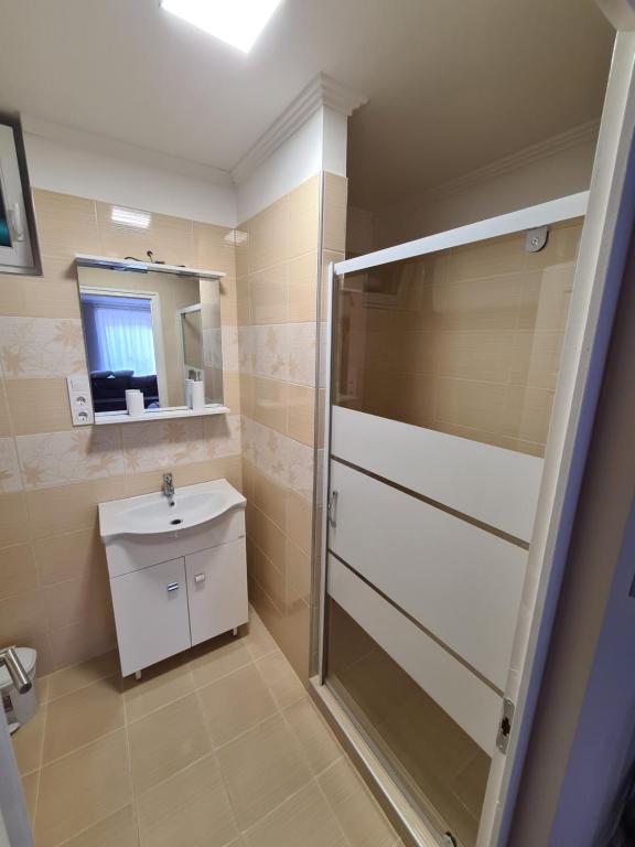 y baño con ducha y lavamanos. en Napfény Apartman en Makó