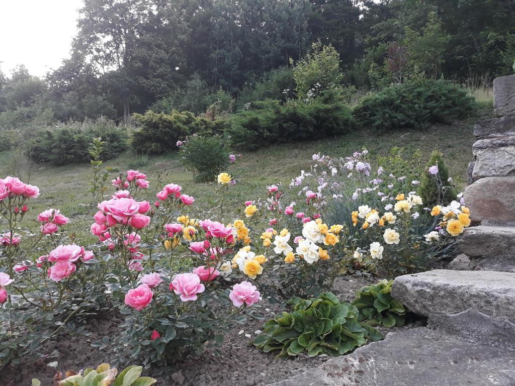 Vonkajšia záhrada v ubytovaní Pokoje Gościnne Thank You Life, Apartament 2 Forest For Rest