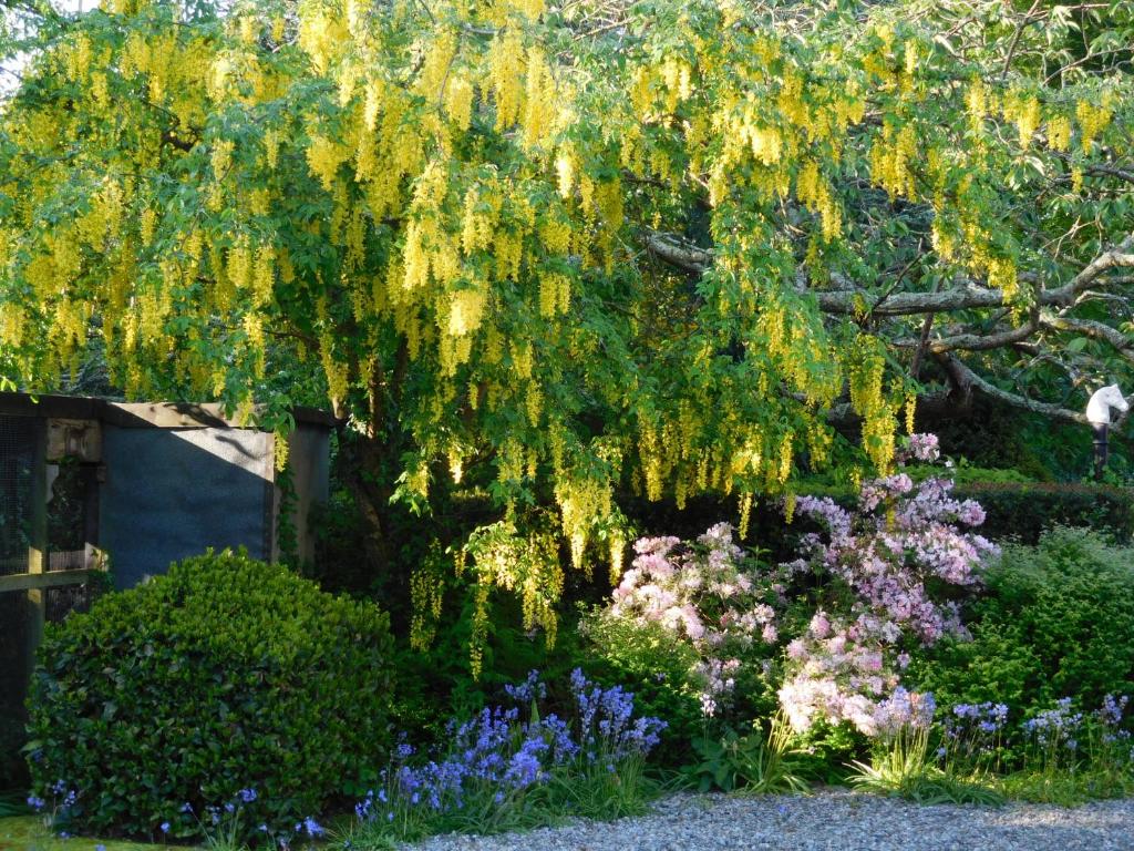 Zahrada ubytování Kilmokea Garden Suite