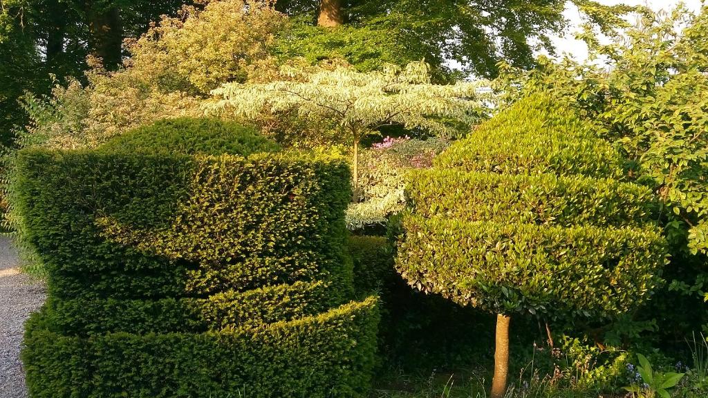 Zahrada ubytování Kilmokea Garden Suite