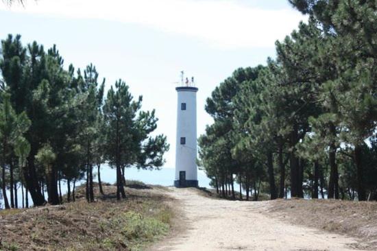 Príroda v okolí dovolenkového domu