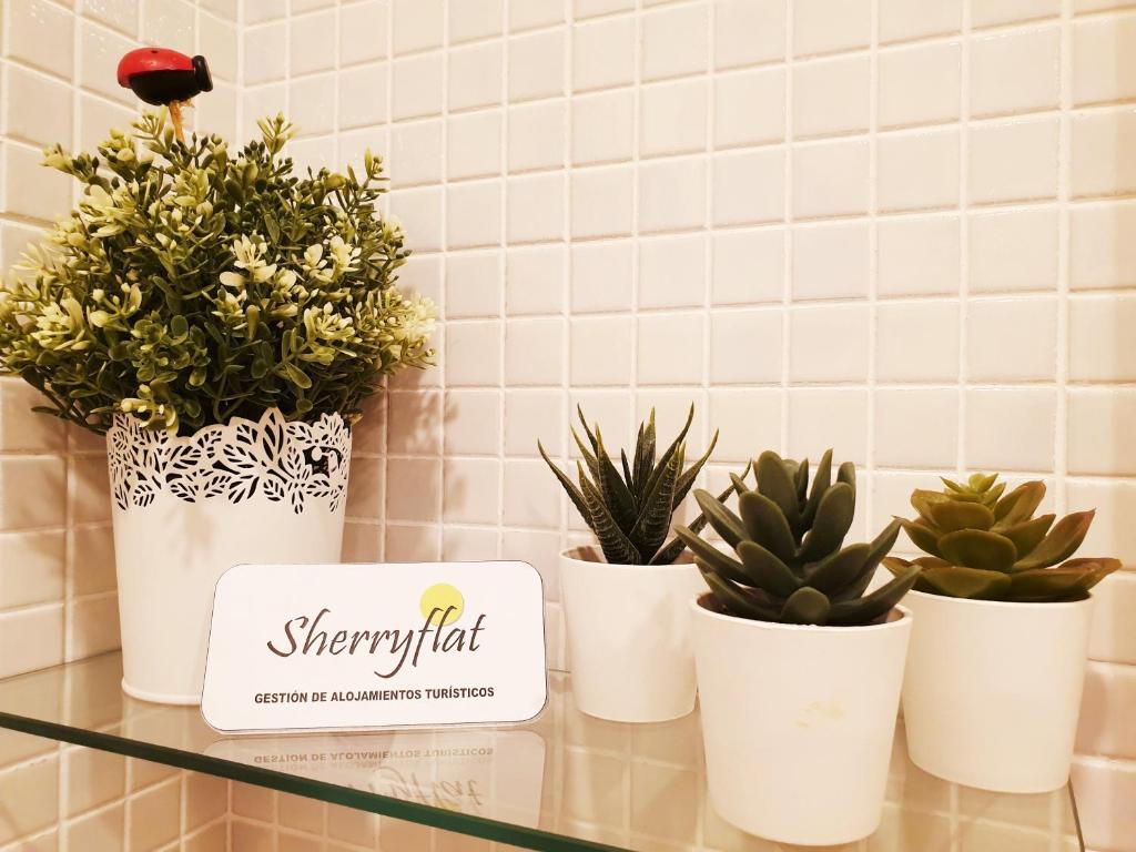 Certifikát, hodnocení, plakát nebo jiný dokument vystavený v ubytování Sherryflat La Estación - Parking