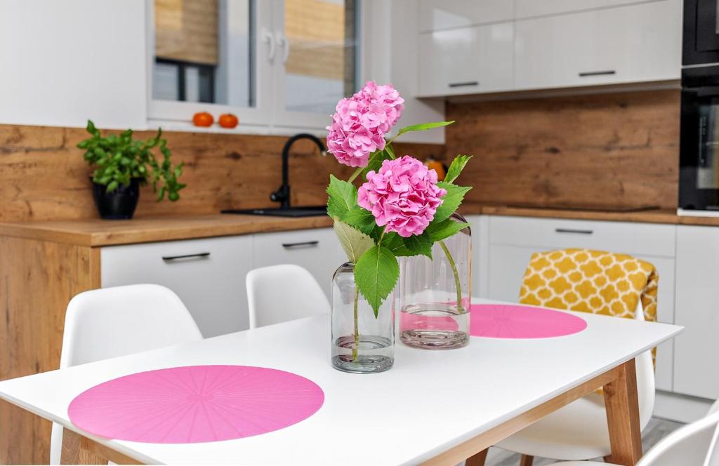 Kuchyň nebo kuchyňský kout v ubytování Apartament Twoja Przystań