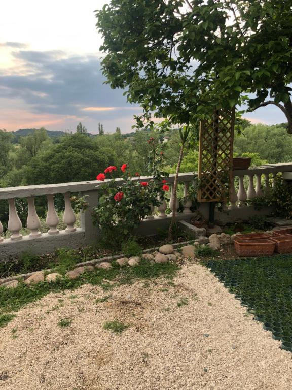 Příroda nedaleko apartmánu