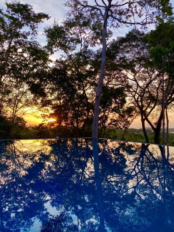  Vila Flor Bed & Breakfast