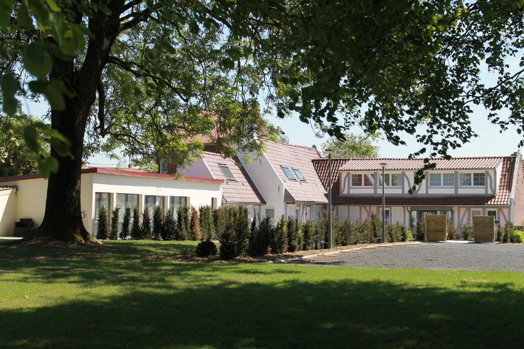 a house with a tree in front of it at Gîtes du Frêne in Wattignies
