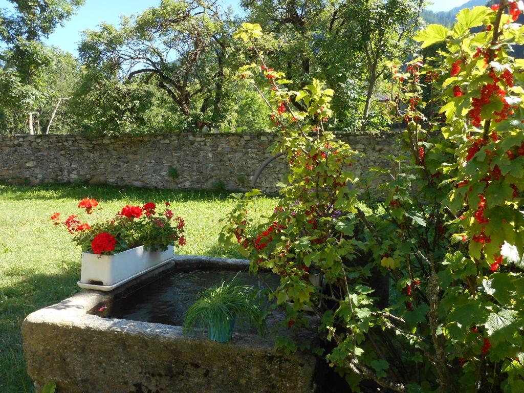 Zahrada ubytování Dazio Grande B&B