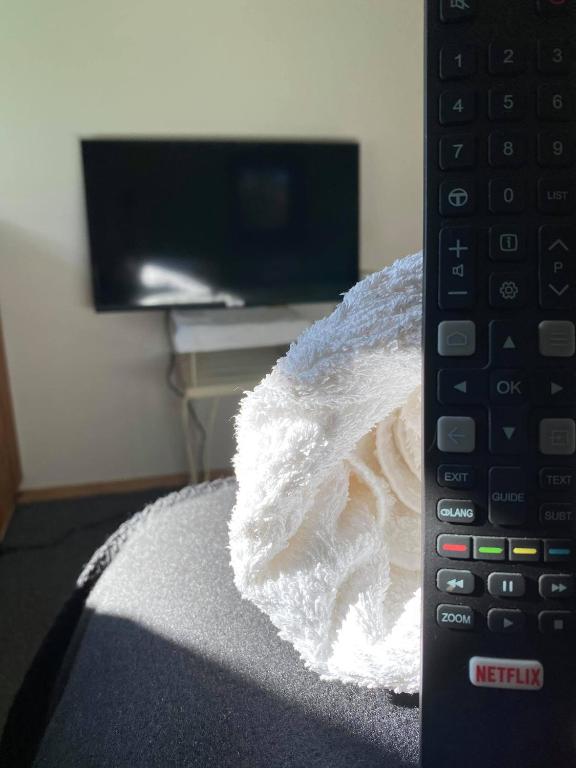 TV a/nebo společenská místnost v ubytování Waiheke Island Guesthouse