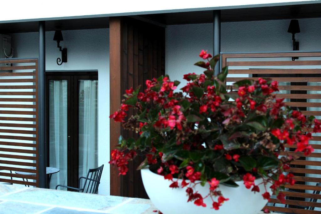 Fotografie z fotogalerie ubytování Makedonia Hotel v destinaci Ouranoupoli