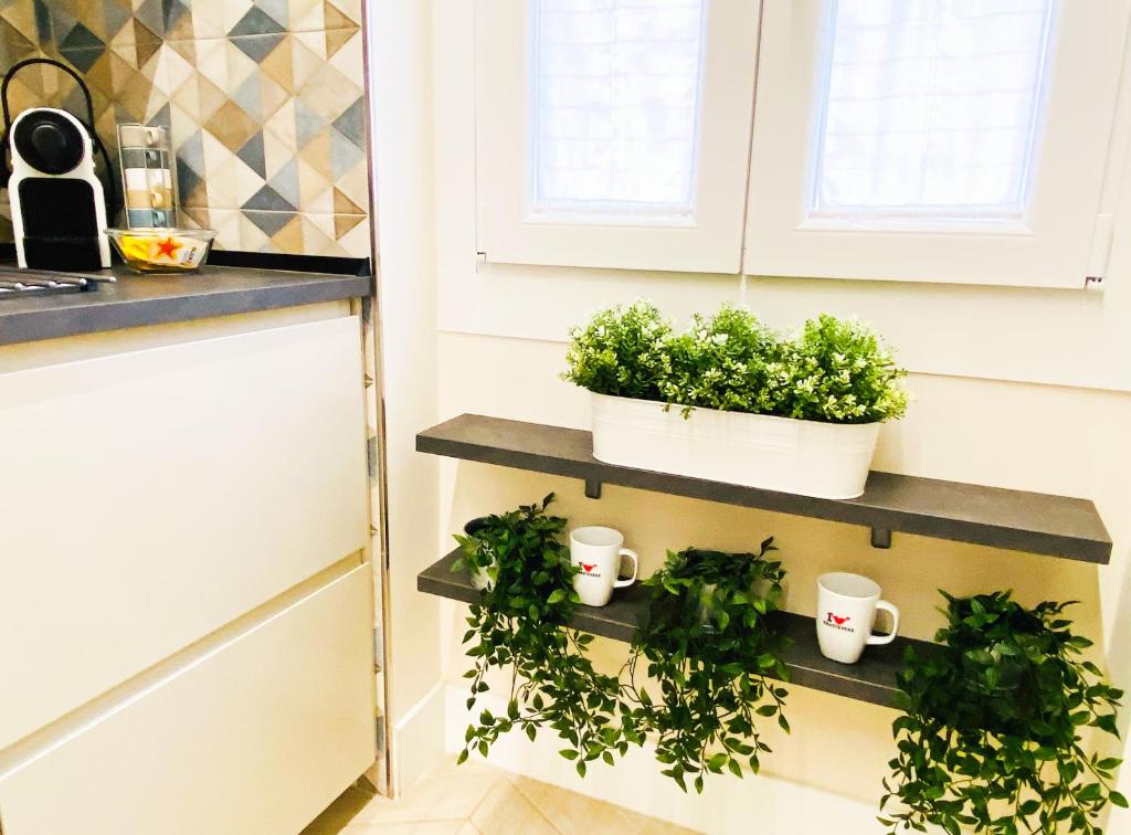 Trastevere Boulevard - 10