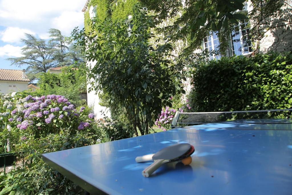 Stolní tenis v ubytování Villa Aimée Luxury Apartments with Heated Pool nebo okolí